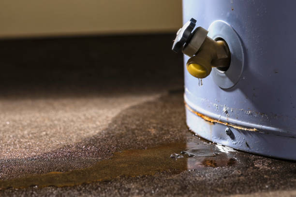 Best Flood restoration services  in Ridgefield, NJ