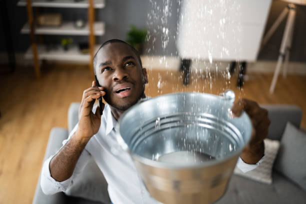 Best Water damage restoration services  in Ridgefield, NJ
