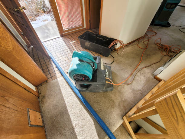 Best Commercial water damage restoration  in Ridgefield, NJ