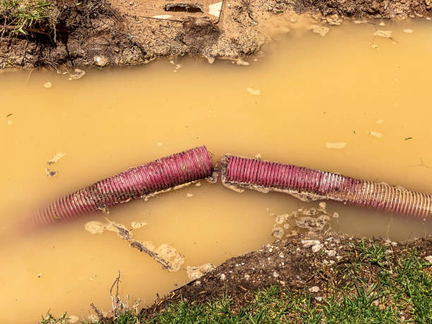 Best Water damage restoration company  in Ridgefield, NJ