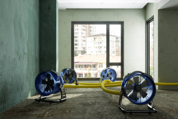 Best Water damage restoration mold remediation  in Ridgefield, NJ