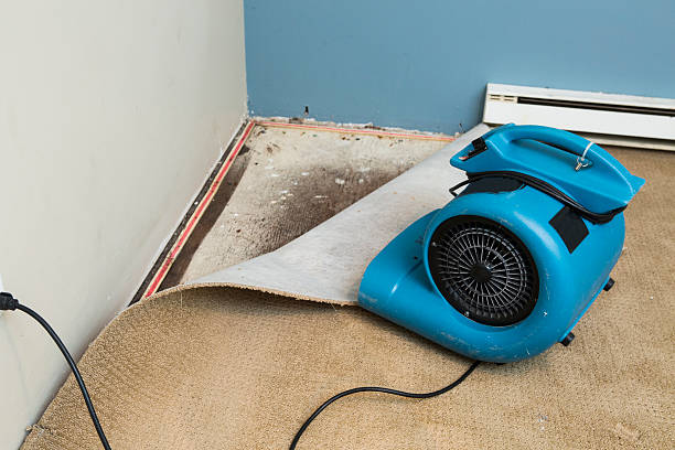 Best Residential water damage restoration  in Ridgefield, NJ